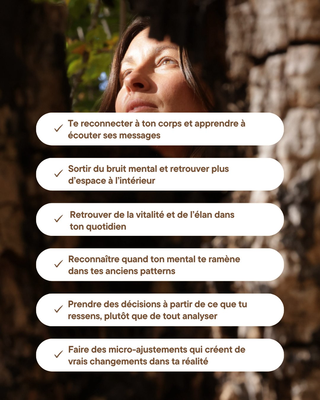 Contenu du programme